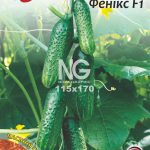 Огірок Фенікс F1