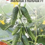 Огірок Мальчик спальчик F1