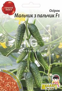 Огірок Мальчик спальчик F1