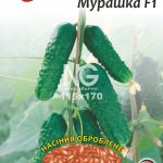 Огірок Мурашка