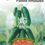 Огірок Рання Пташка