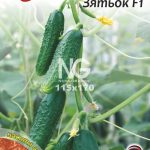 Огірок Зятьок F1