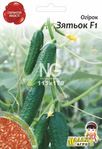 Огірок Зятьок F1