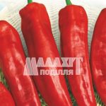 Перець Гіркий