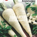Петрушка Коренева