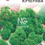 Петрушка Кучерява