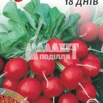 Редис 18 Днів Круглий