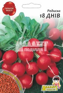 Редис 18 Днів Круглий