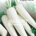 Редис Льодяна Бурулька