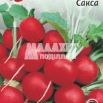 Редис Сакса