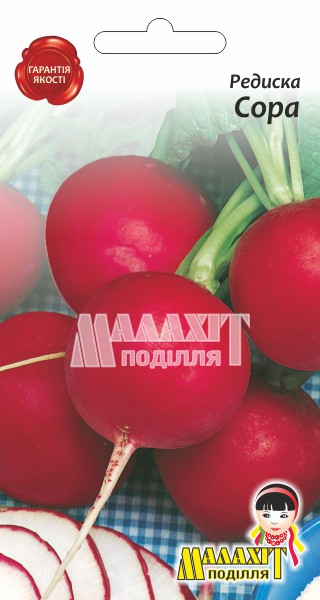 Редиска Сора 708534_1 Редис Сора - Зображення 1