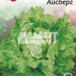 Салат Айсберг