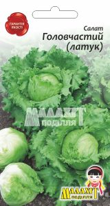 Салат Головчастий (латук)