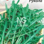 Салат Рукола