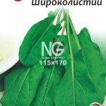 Щавель Широколистий