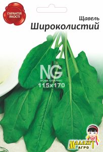 Щавель Широколистий