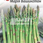 Спаржа Марія Вашингтон