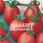 Томат Де-барао