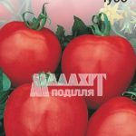 Томат Засолювальне Чудо