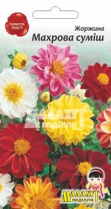 Жоржина Махрова Суміш