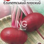 Буряк столовий Єгипетський плоский