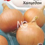 Цибуля Халцедон