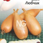Цибуля Любчик