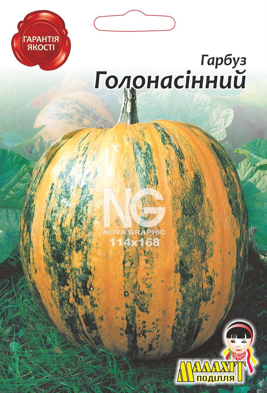 Гарбуз Голонасинний N1702251 Гарбуз Голонасінний - Зображення 1