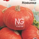 Гарбуз Новинка