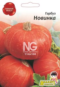 Гарбуз Новинка