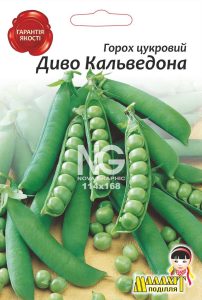 Горох Диво Кальведона