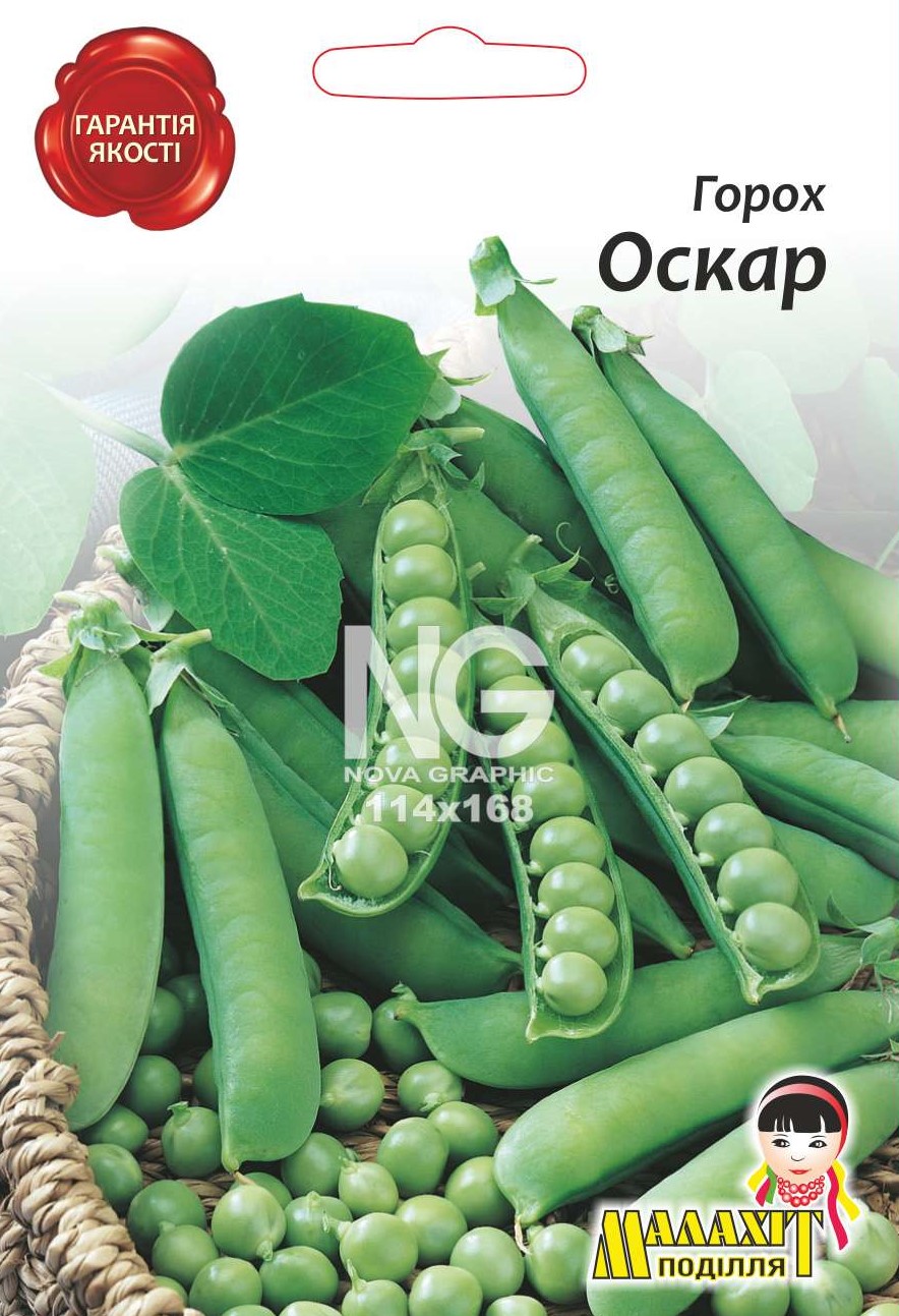 Горох Оскар G4600216 Горох цукровий Оскар - Зображення 1