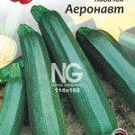 Кабачок Аеронавт