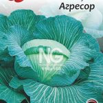 Капуста Агресор