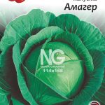 Капуста Амагер
