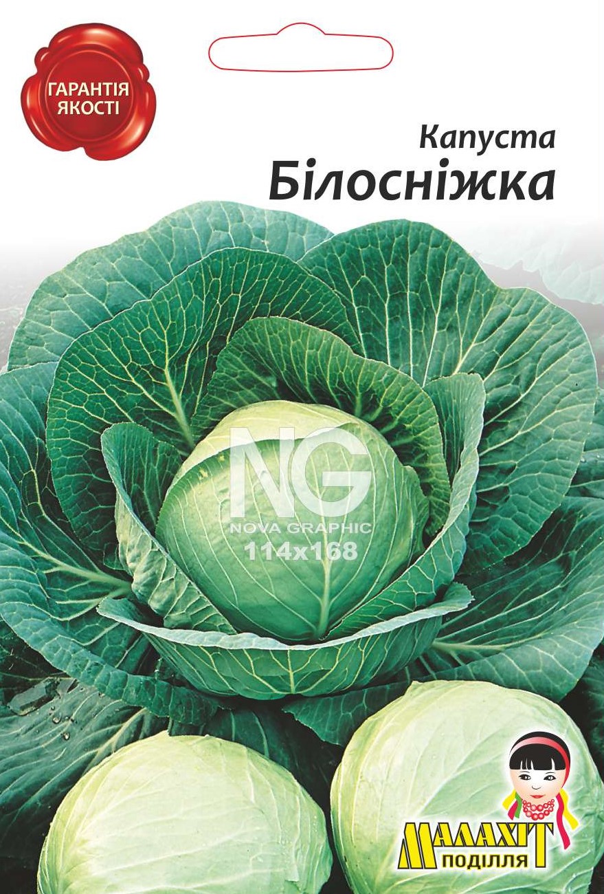 Капуста Билоснижка 705255 Капуста Білосніжка - Зображення 1