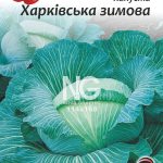 Капуста Харківська зимова