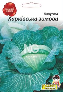 Капуста Харківська зимова