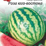 Кавун Роза Юго-Востока
