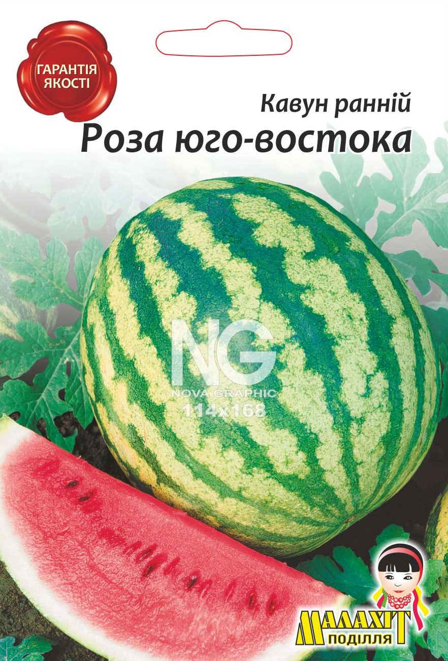 КАвун Роза юго-востока N1701502 Кавун Роза Юго-Востока - Зображення 1