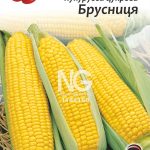 Кукурудза цукрова Брусниця