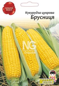 Кукурудза цукрова Брусниця