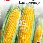 Кукурудза цукрова Імператор