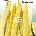 Квасоля Богема