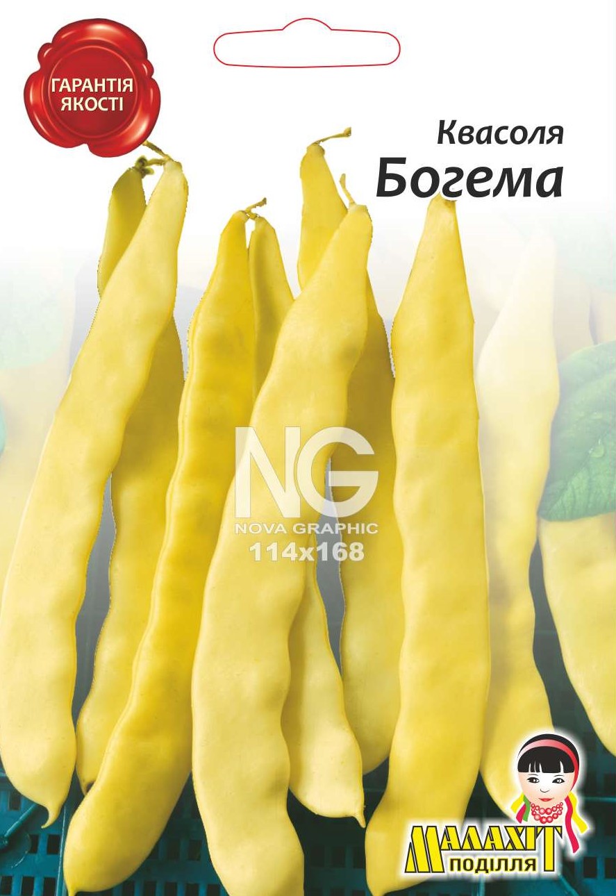 Квасоля Богема 700356 Квасоля Богема - Зображення 1