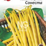 Квасоля спаржева Сонеста