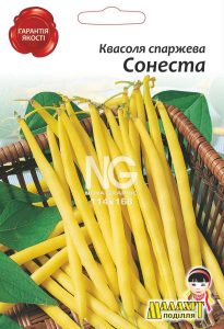 Квасоля спаржева Сонеста