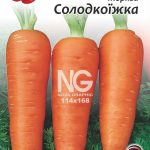 Морква Солодкоїжка