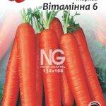 Морква Вітамінна 6