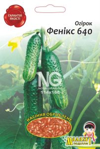 Огірок Фенікс F1